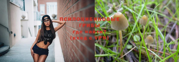 Альфа ПВП Семёнов