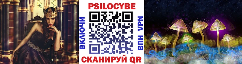 Псилоцибиновые грибы прущие грибы  Купить закладки  Покачи 